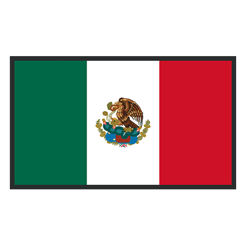 Raúl Jiménez - MEX